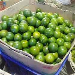 

EXPRESS Jeruk Peras 500 gr Masih Fresh