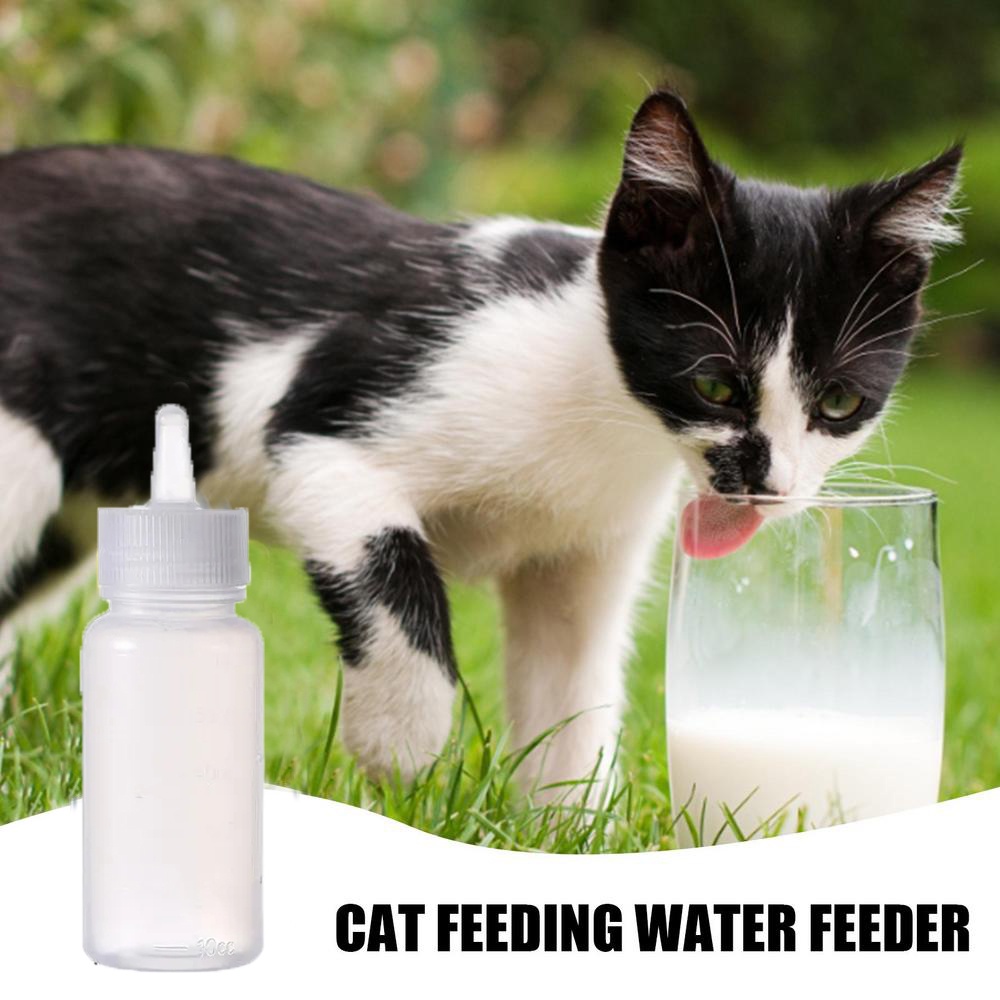 60ml Botol Minum Kucing Botol Susu Hewan Peliharaan Puppy Kitten Nursing Water Milk Feeder Pet Feeder Supplies Dot Kecil Botol Susu Kucing Anjing Pet Silicone Milk Bottle Kit