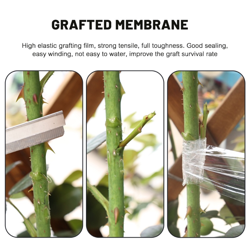 120m /Roll Stretchable Nursery Grafting Tape/ Lebar 3cm Perekat Diri Bibit Tanaman Grafting Film Band