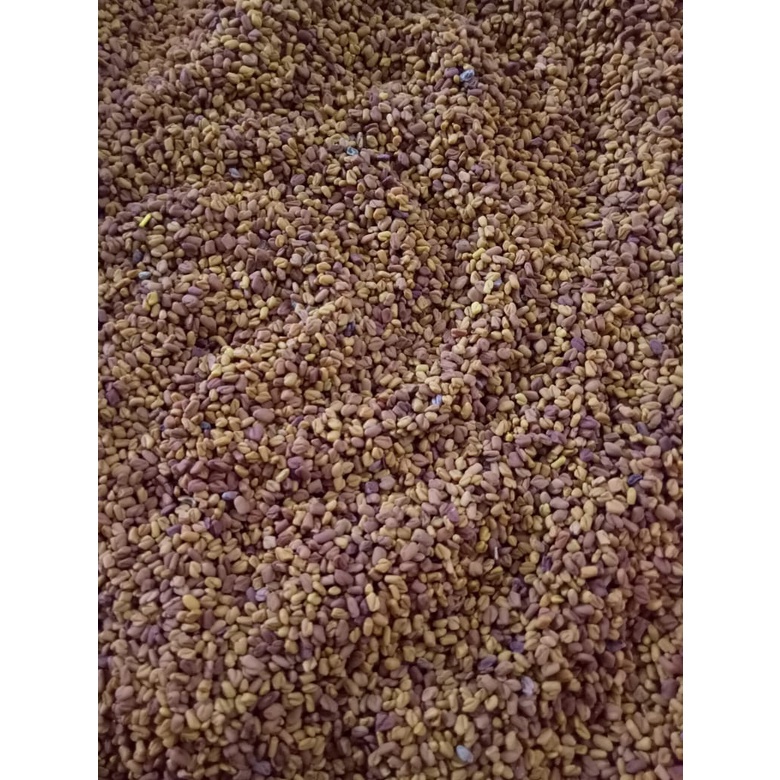 

Bubuk Biji Klabet 1 kg Tanaman Herbal Nusantara Free Stiker PIRT Random