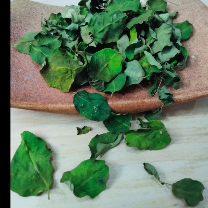 

Daun Kelor 100% Kering Hijau 1kg