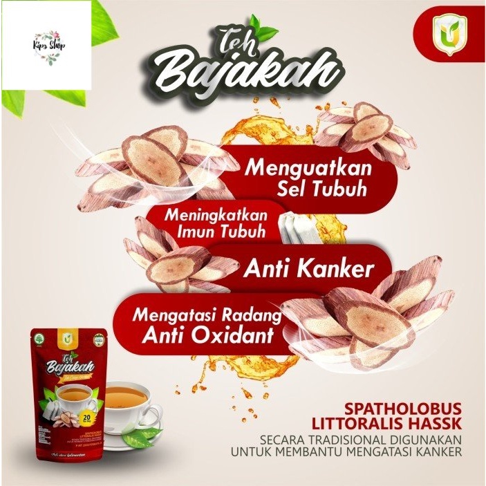 

Teh Bajakah Herbal Usybah Asli Kalimantan Teh Celup Siap Minum - REMPAH TEH BERKUALITAS