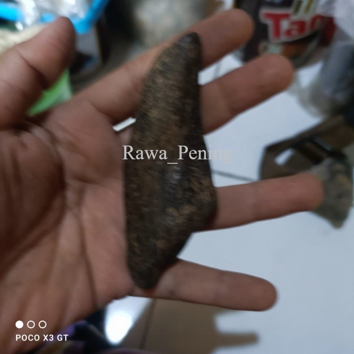 taring buaya ori bk megantara sengkelat lar manga   antik