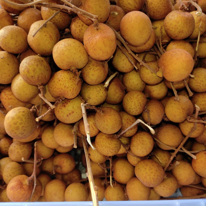 

✨NEW✨ -Buah Lengkeng Kelengkeng Longan Thailand Bangkok 500 gram manis - Gold- 2.2.23