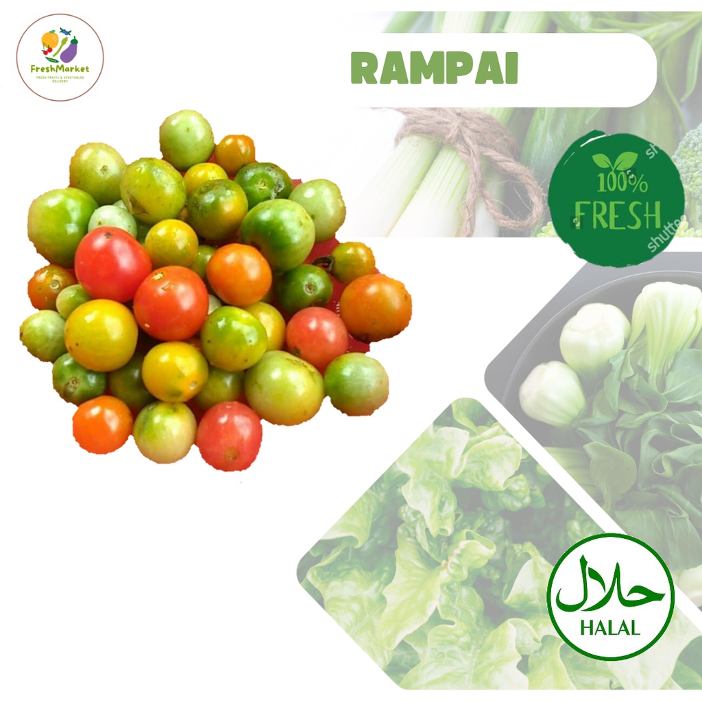 

Rampai Segar Sayur Sayuran 500 Gram Freshmarketlampung