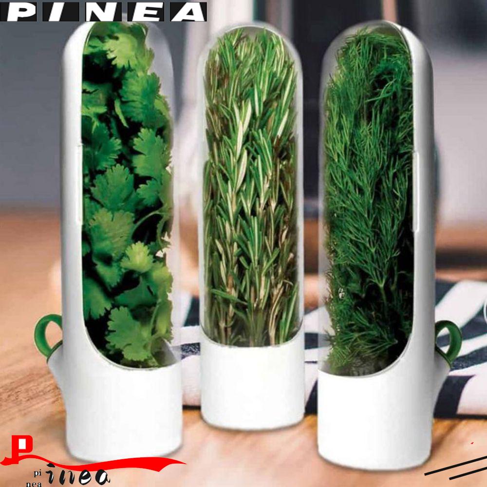 Wadah Penyimpanan Herbal Nanas Gadget Dapur Vanilla Crisper Container Botol Herb Keeper