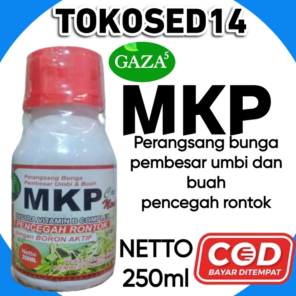 MKP CAIR + BORON pupuk buah mkp pembesar umbi dan buah mkp cair 250 ml