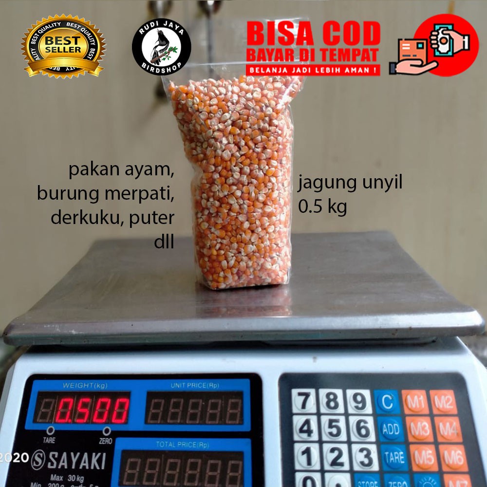 JAGUNG MADURA UNYIL 500 GRAM PAKAN MAKANAN AYAM BEBEK UNGGAS BURUNG MERPATI ANGGUNGAN DERKUKU PUTER