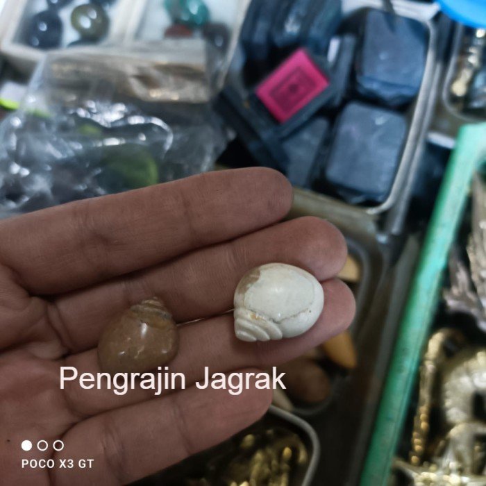 pusaka keong kol buntet coklat dan putih Mumpung Promo PJ75433