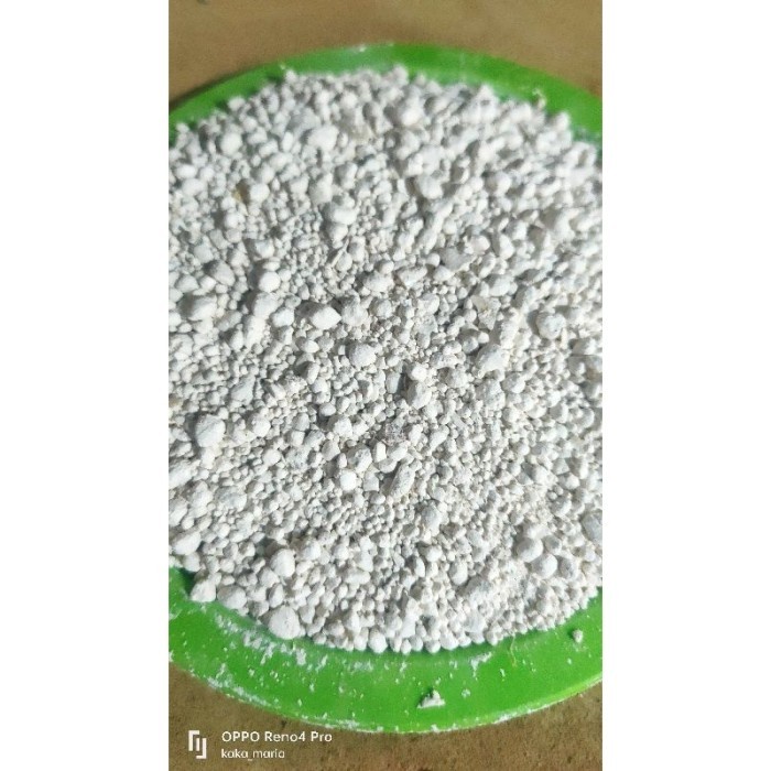 

Suplemen Pakan Ternak 1 Kg Kerang Penambah Kalsium