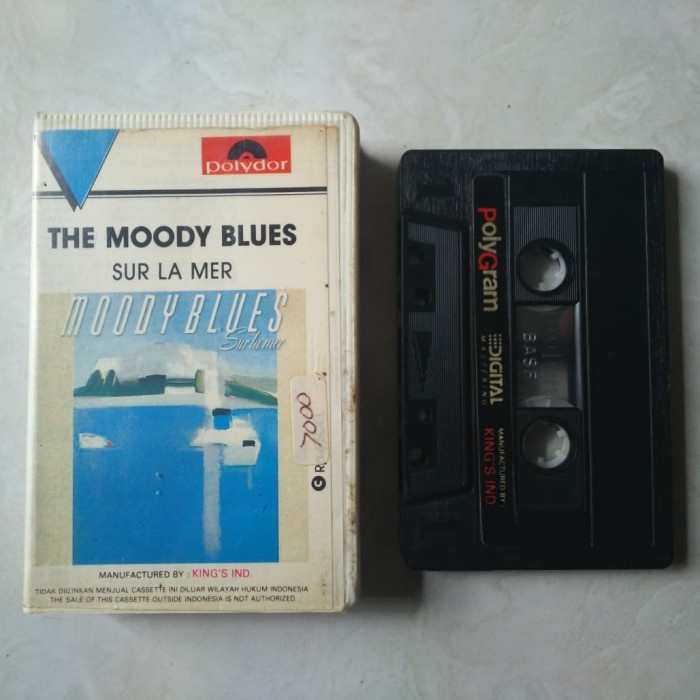 kaset the moody blues sur lamer