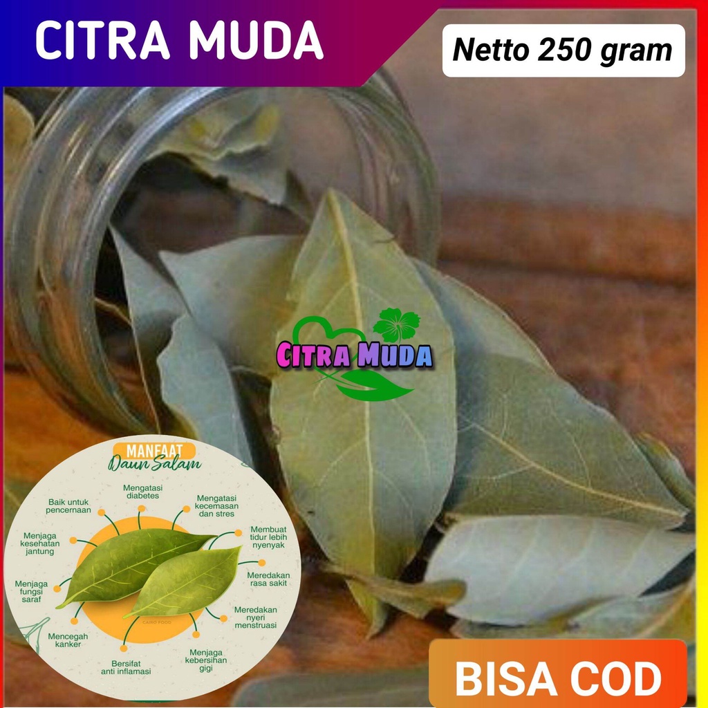 

Daun Salam Kering Bumbu Herbal 250 Gram