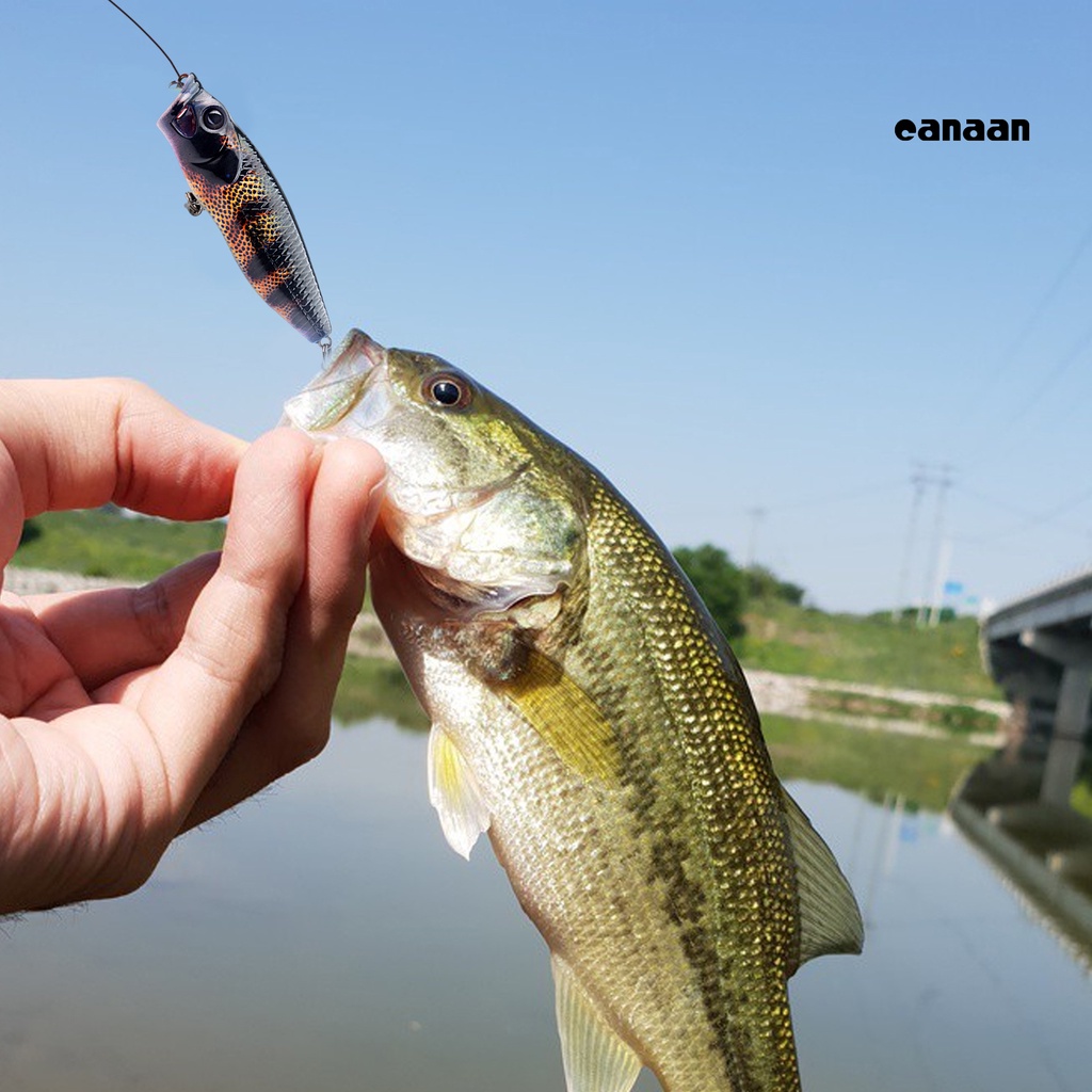 Cnn-14g/8cm Umpan Bionik Simulasi Sisik Ikan Bentuk Kait Rattle Beads Angling ABS Painted Lure Umpan Keras Untuk Memancing Luar Ruangan