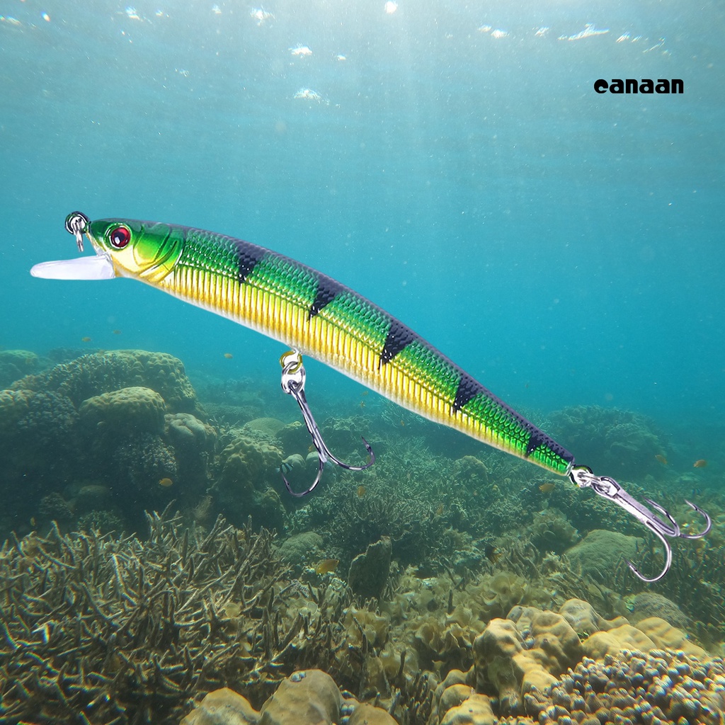 Cnn-10cm/8.4g Umpan Pancing Simulasi 3D Fisheyes Tangkap Ikan Semua Air Tujuan Umum Umpan Palsu Untuk Pecinta Memancing
