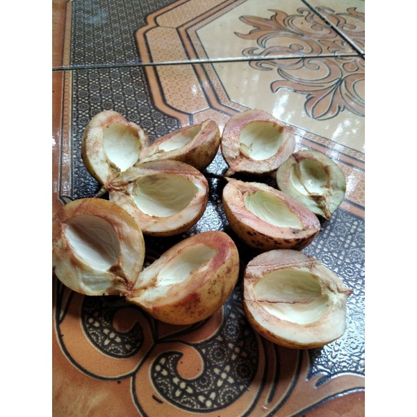 

cangkang pala segar per 1kg