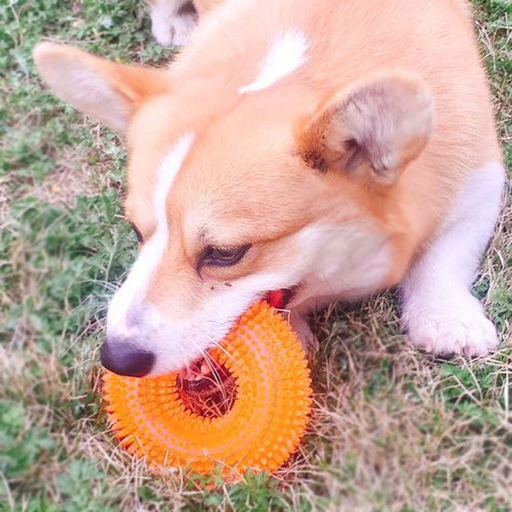[Elegan] Anjing Mengunyah Mainan TPR Multicolor Molars Gigi Bersih Untuk Anjing Kecil Sedang Outdoor Bermain Tahan Gigit Perlengkapan Hewan Peliharaan