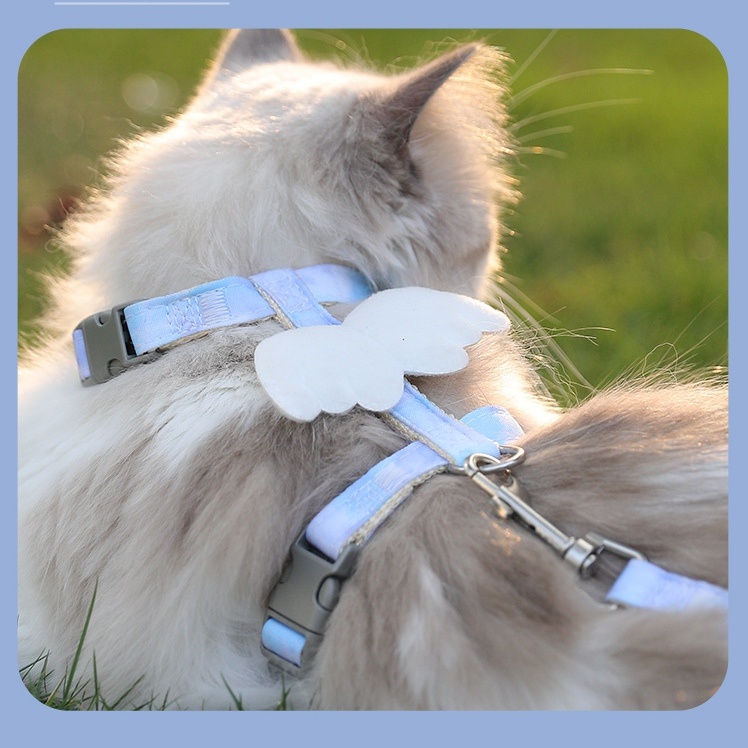 Cat Leash Harness Set Hewan Peliharaan Gradien Dapat Disesuaikan Harness Dan Lanyard Dengan Sayap Dekorasi Untuk Mencegah Detachment