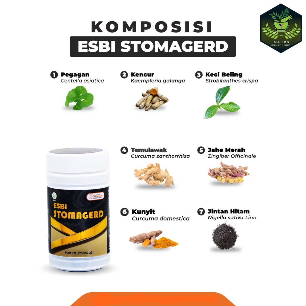 Esbi Stomagerd Herbal Maag Asam Lambung Gerd Reaksi Cepat Dan Ampuh ORIGANAL