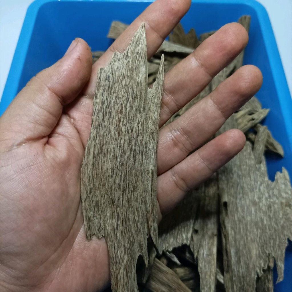 Kayu Gaharu Super Kwalitas Arab Buhur Bukhur Gaharu Asli Dupa Arab Aquilaria Malaccensis