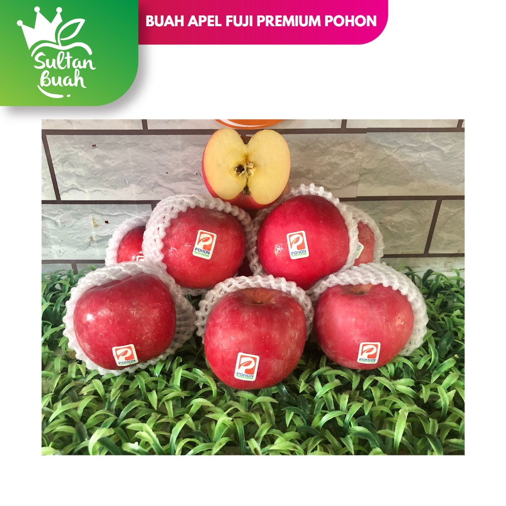 

Apel Fuji Besar Jumbo Premium Merk Pohon 1 KG import