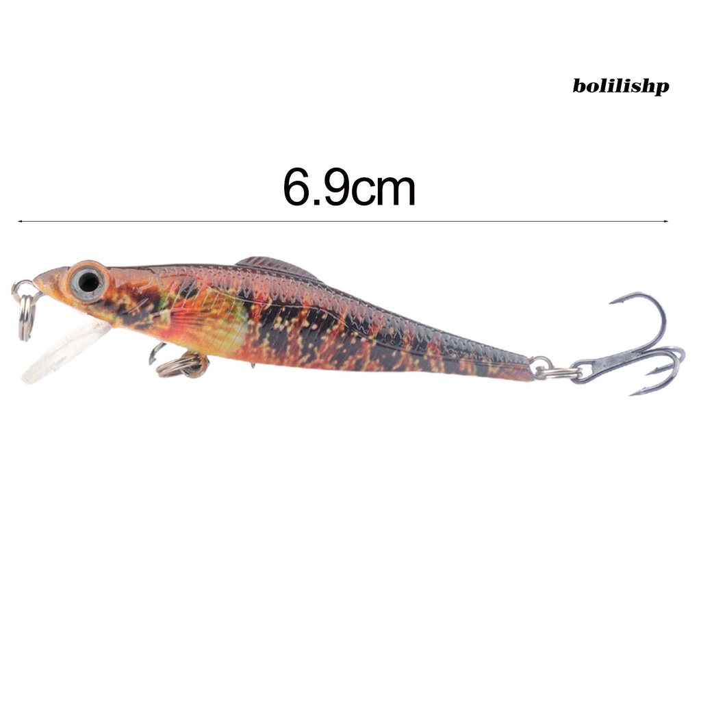 Bo-6.9cm/5g Umpan Keras Simulasi 3D Fisheye Kait Tajam Bentuk Realistis Crankbait Warna Cerah Memancing Ringan Anti-escape Portabel Jerkbait Untuk Memancing Di Luar Ruangan