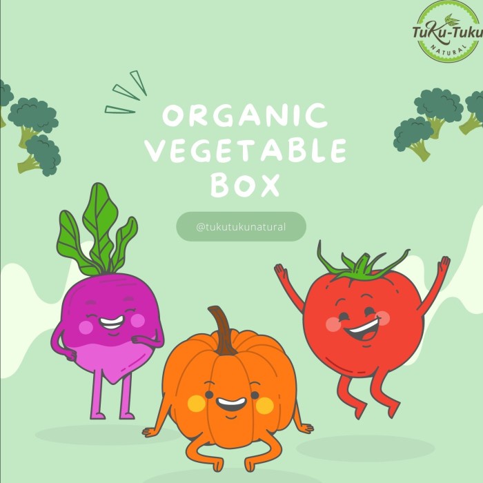 

Veggie Box - Paket Sayur Organik - Size S