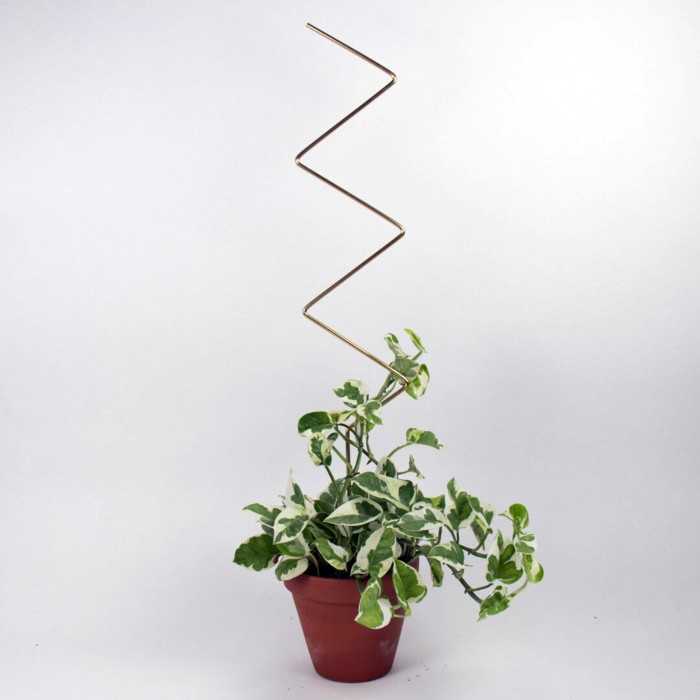 Plants Support - Media Tanam Rambat Rambatan Turus Besi Tanaman Indoor - Zig Zag