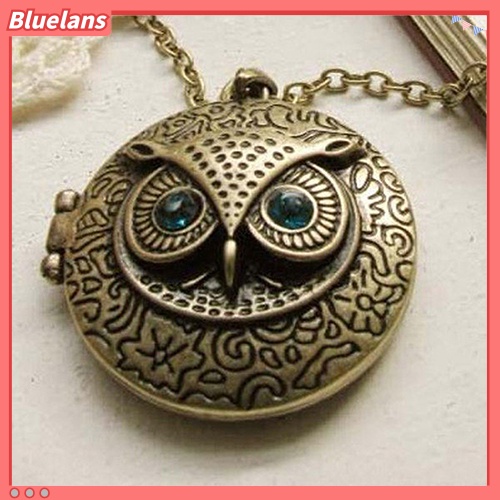 [BLS] Wanita Vintage Biru Berlian Imitasi Mata Owl Liontin Liontin Kalung Rantai Panjang