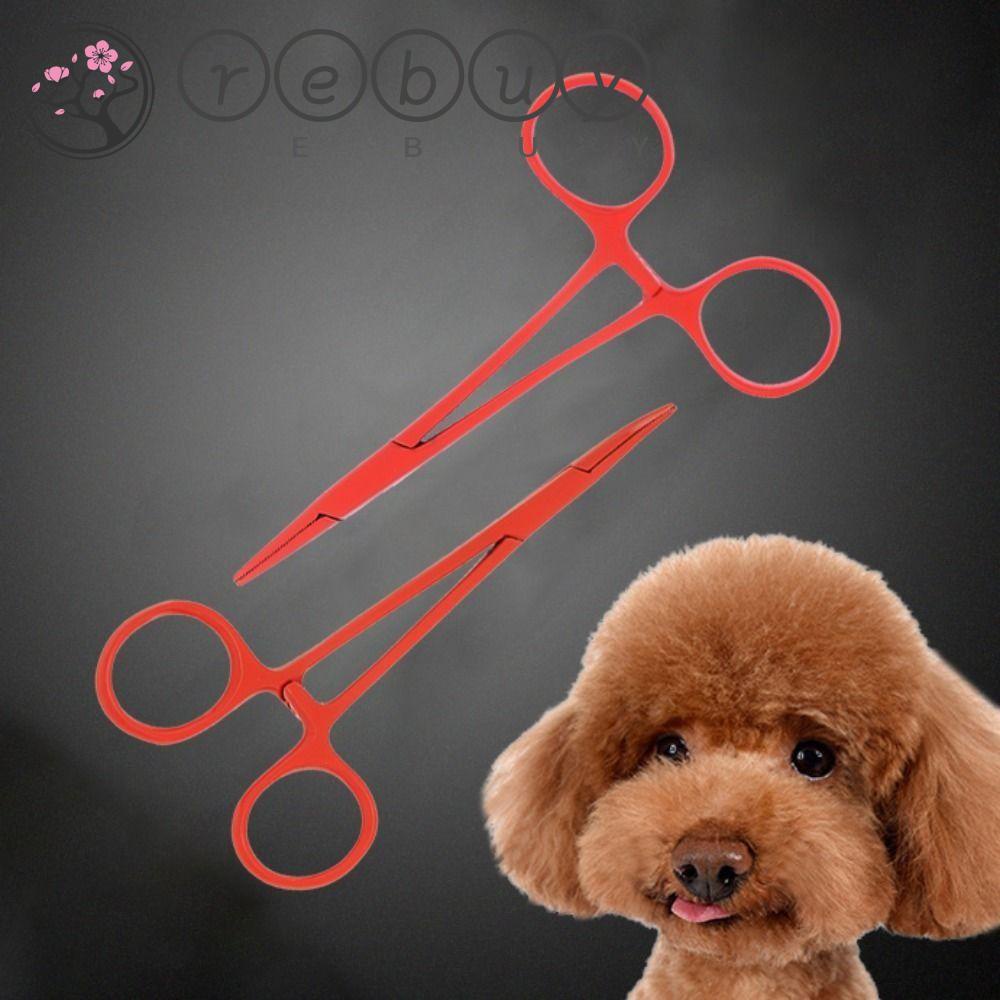 REBUY Rebuy Dog Grooming Gunting 12.5 cm Praktis Tidak Karat Lurus/ Ujung Lengkung Tahan Lama Aksesoris Hewan Peliharaan Cat Surgical Forceps