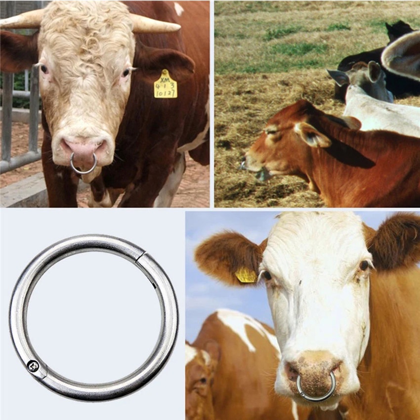 Stainless Steel Ring Cincin Hidung Sapi Bull Ring Cincin Anting Hidung Sapi Premium High Grade