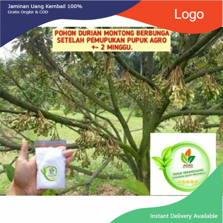 Pupuk agro bibit/grosir/pupuk buah/pupuk bunga/pupukorganik/pupukdaun/pupuk psb/pupuk zk/pupuk za/pu