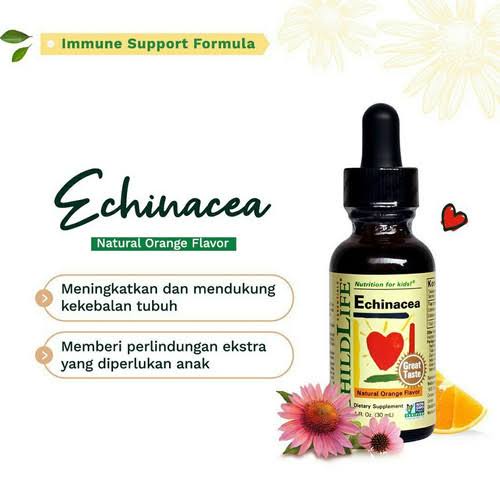 Child Life Echinacea