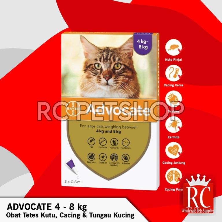 Obat Tetes Kutu Cacing Tungau Flea Scabies Kucing Advocate 4 – 8 KG