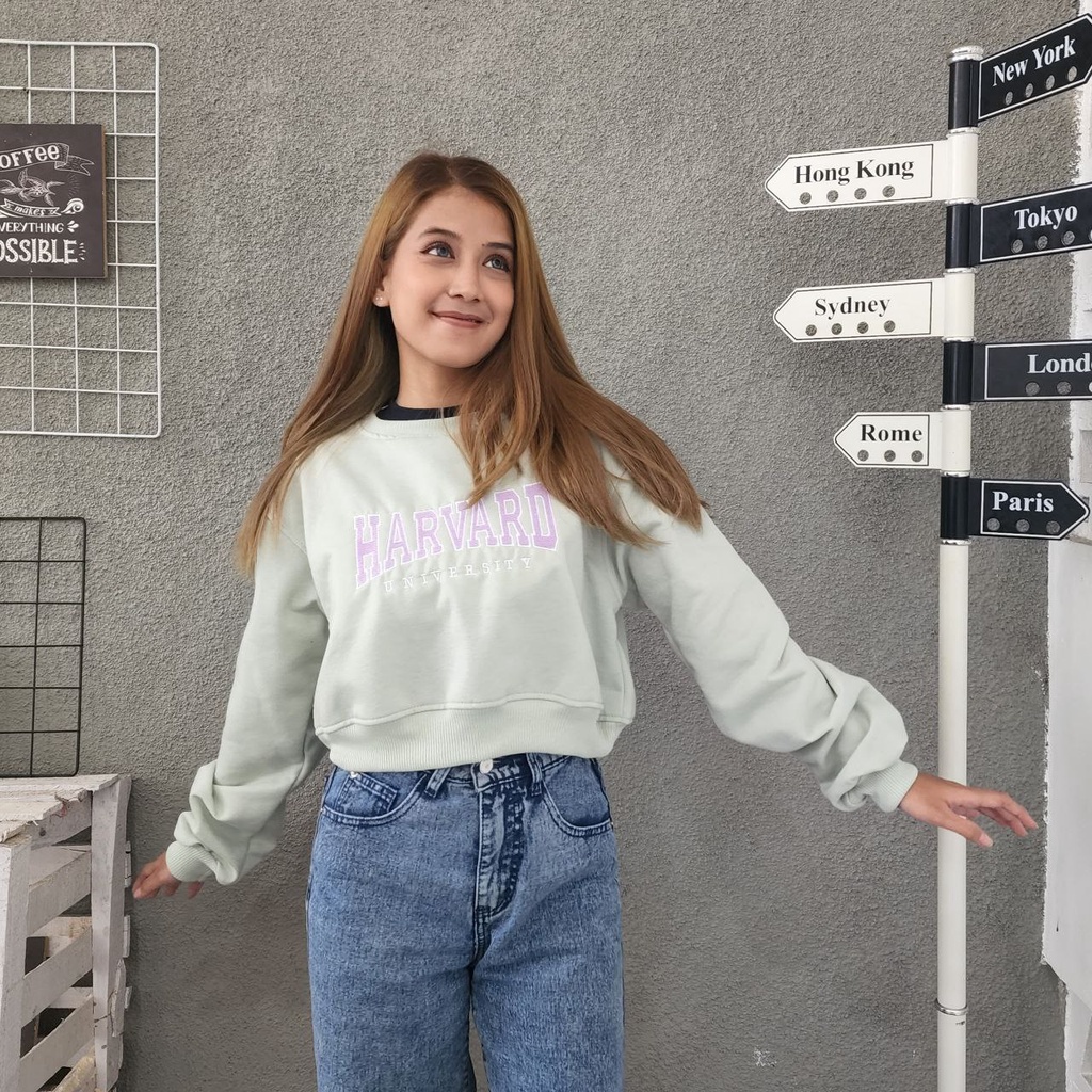 NOUSKA - HARVARD BORDIR CROP Sweater Crop Top Crewneck Sweatshirt Korea Lucu Korean Style