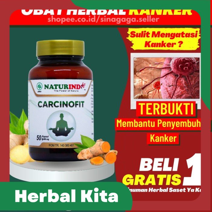 

Obat Herbal Kanker Payudara Serviks Prostat Ampuh Carcinofit Naturindo - Carcinofit