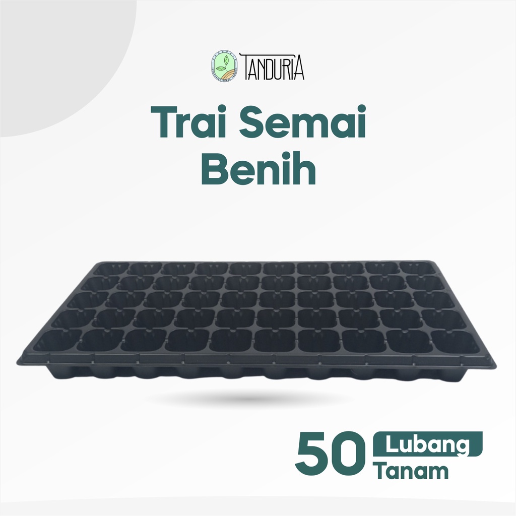 Tray Semai 50 lubang Traypot Pot Seed Tray wadah Semai Biji Bibit tanaman Hias kaktus cactus aglonem