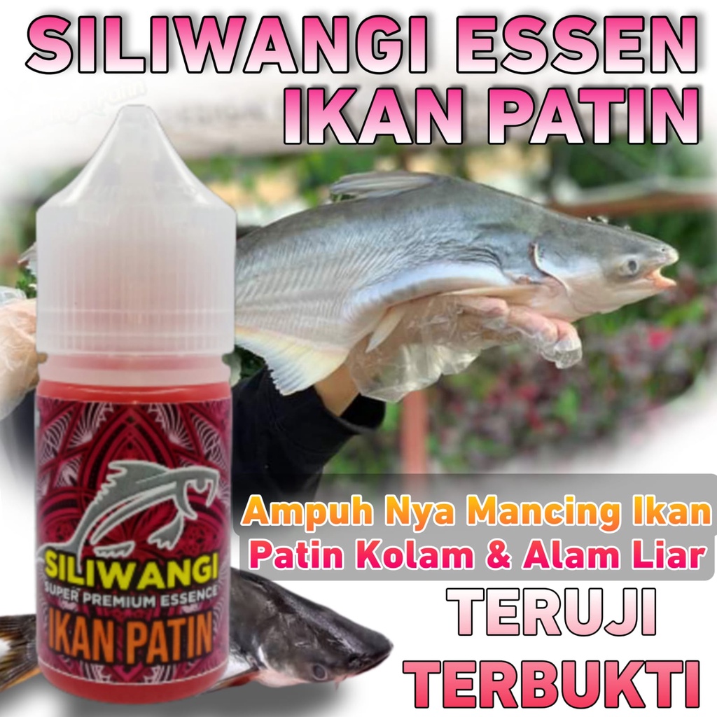 Siliwangi Essen Ikan Patin Kolam Harian Paling Ampuh, Essen Ikan Ikan Patin Alam Liar Paling Gacor, 