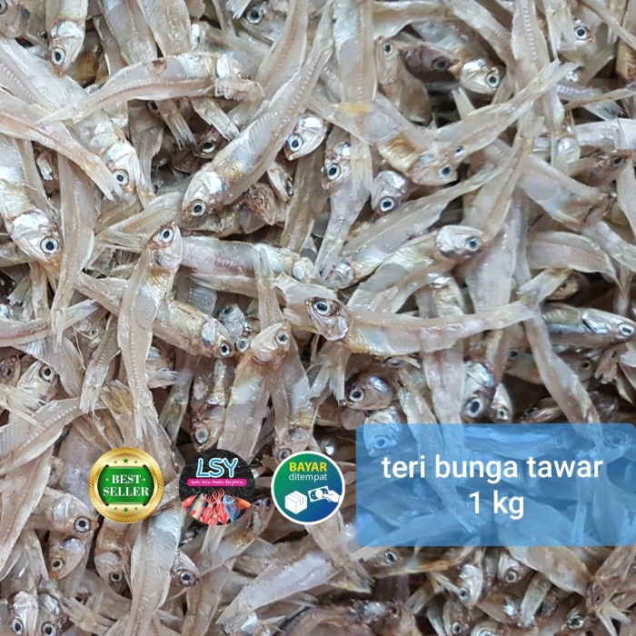 

[Ready Stock]bisa Cod teri bunga tawar super 1 kg