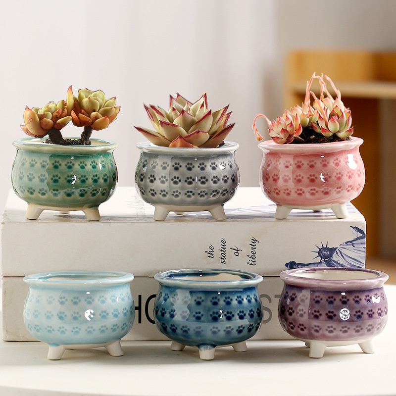 Flpot Bunga Tanaman Berdaging Pola Cakar Kucing Pot Bunga Keramik Pot Sukulen Berdiri Es Pot Sukulen Retak Dekorasi Desktop Rumah