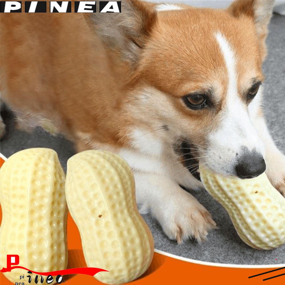 Mainan Anjing Kacang Nanas Aksesoris Gerinda Tahan Gigit Interaktif Pet Toy Ball