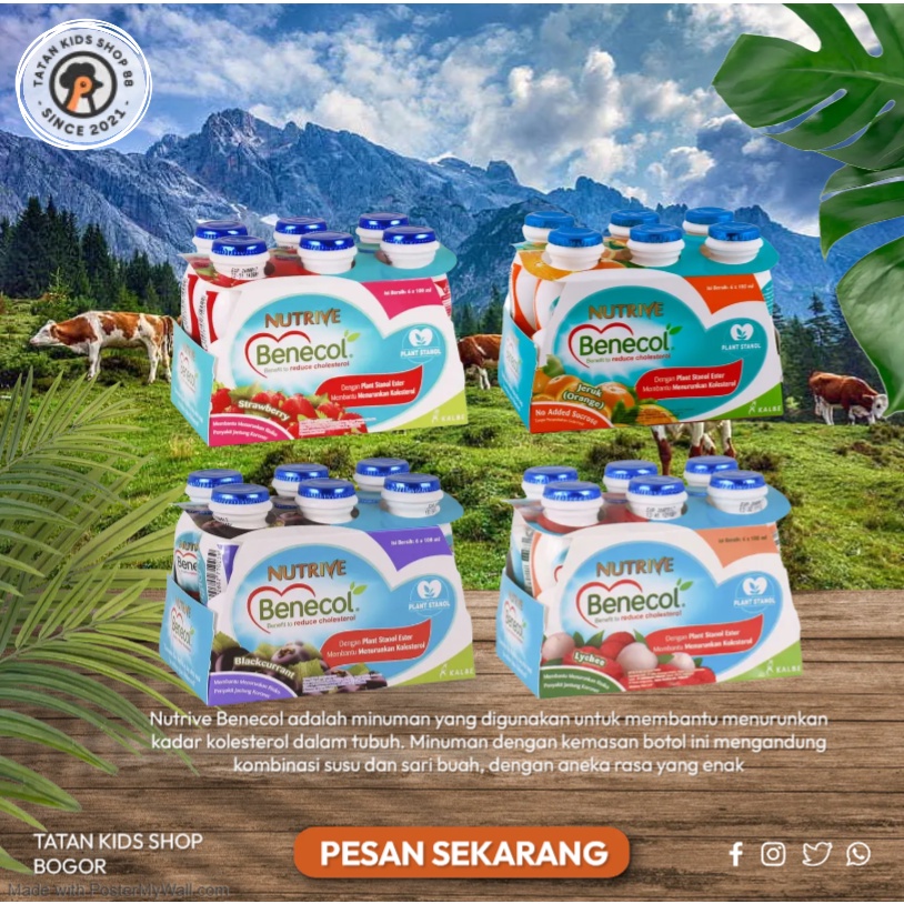 

Susu Nutrive benecol untuk kolesterol 6 botol Nutrive Fibershoot Yougurt