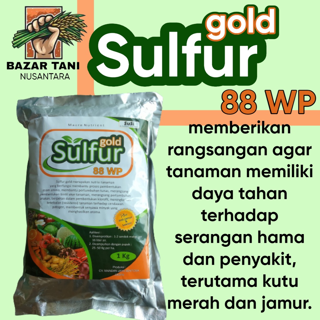 ( BTN ) Sulfur gold 88wp 1kg fungisida bahan aktif belerang sulfur pertanian