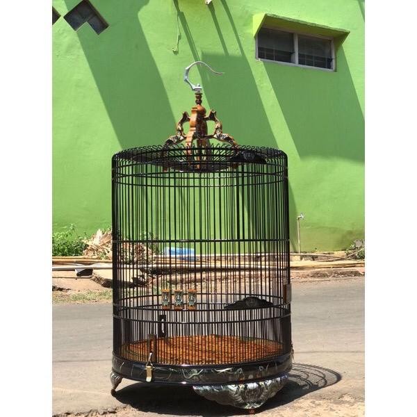sangkar burung murai, sangkar murai decal waterslide, sangkar no2