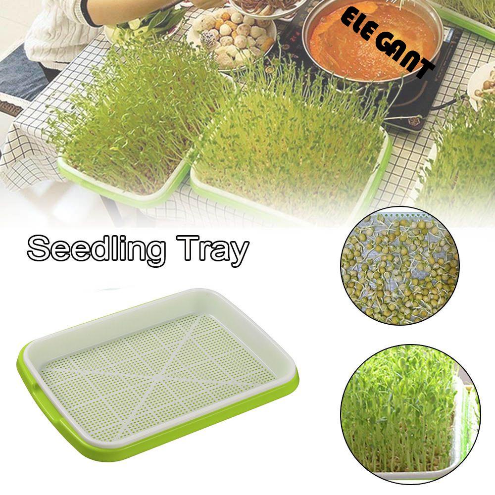 [Elegan] Tray Semai Tidak Berbahaya Awet Wheatgrass Plastik Hijau Double-layer Budidaya Tanpa Tanah