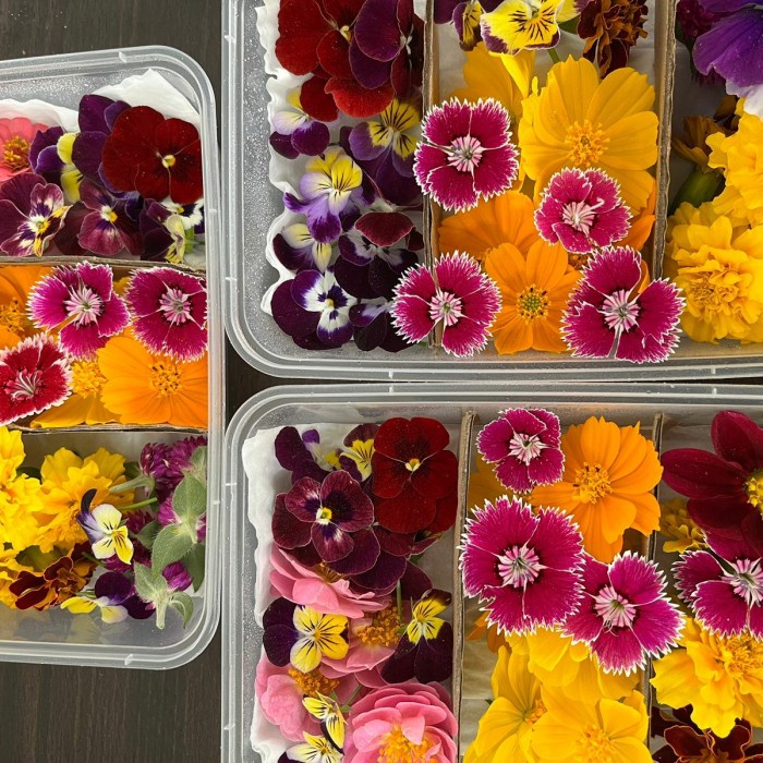 

New Arrival- Edible Flower Mix Organik - Mix 30pcs