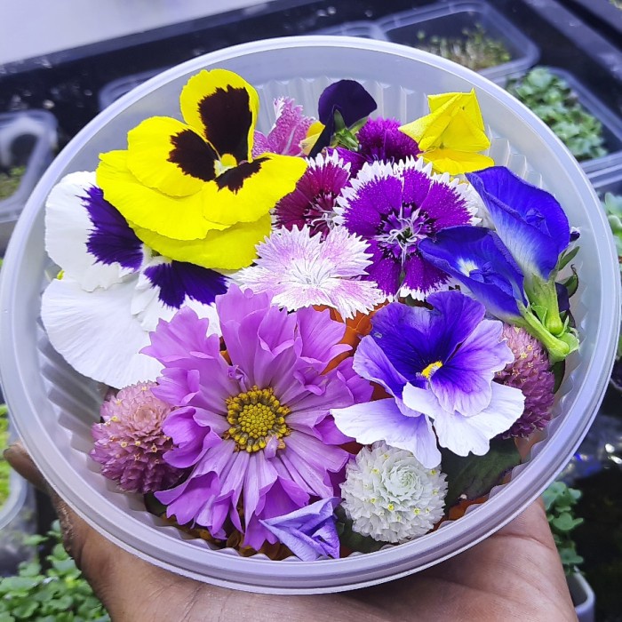 

New Arrival- Mix Edible Flower Fresh
