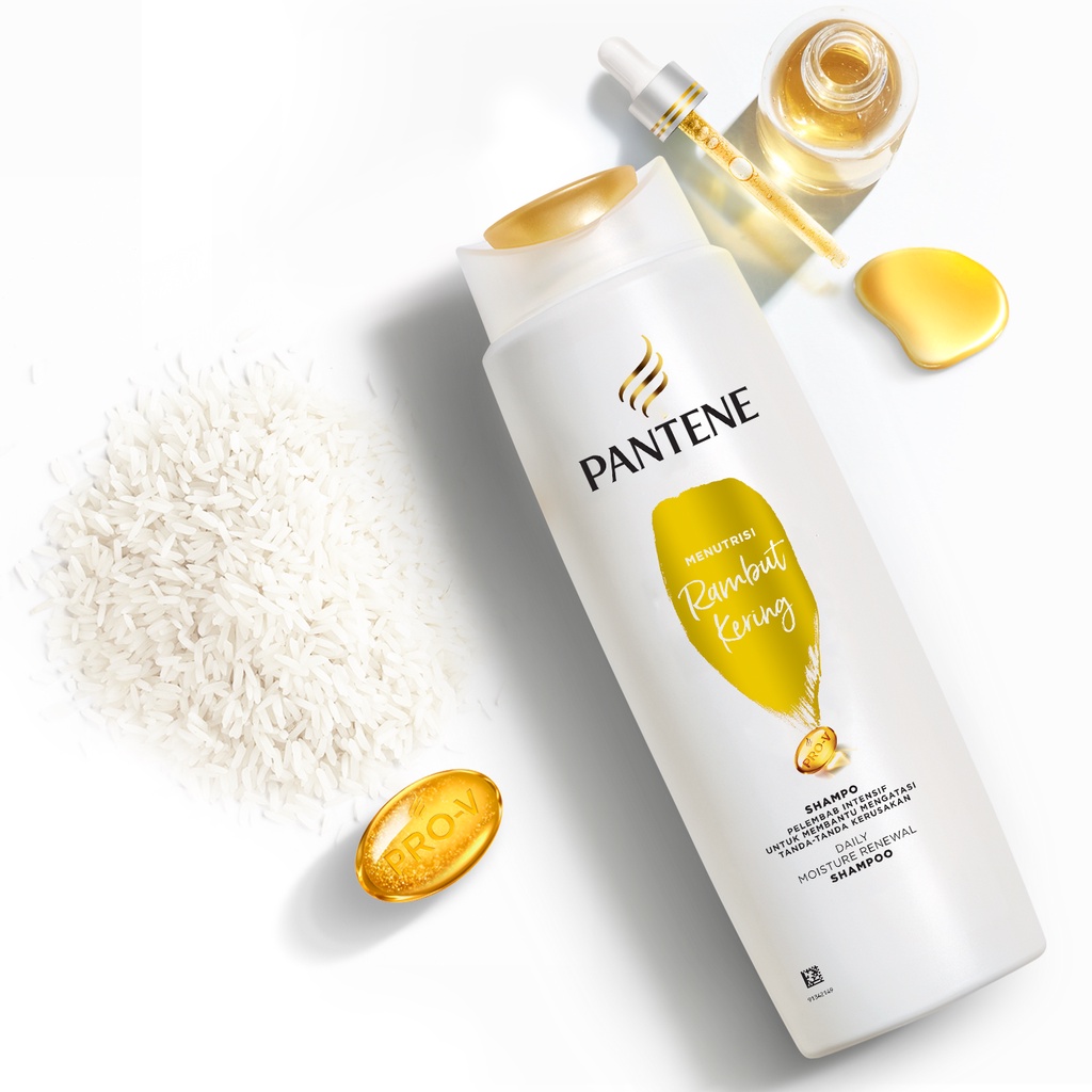 ★ BB ★ Pantene Shampoo Daily Moisture Repair 290ml