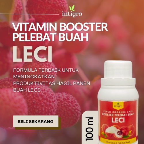 Pupuk Booster Pelebat Buah Leci Organik Cair / Pupuk Booster Buah Leci / Pupuk Tanaman Buah Leci