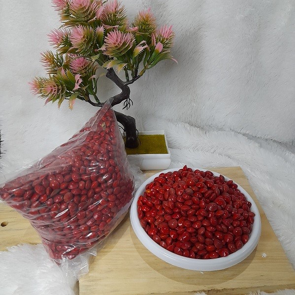 Biji Saga Merah 1 Kg Siap Goreng Organik Bibit Hasil Kehutanan Indo