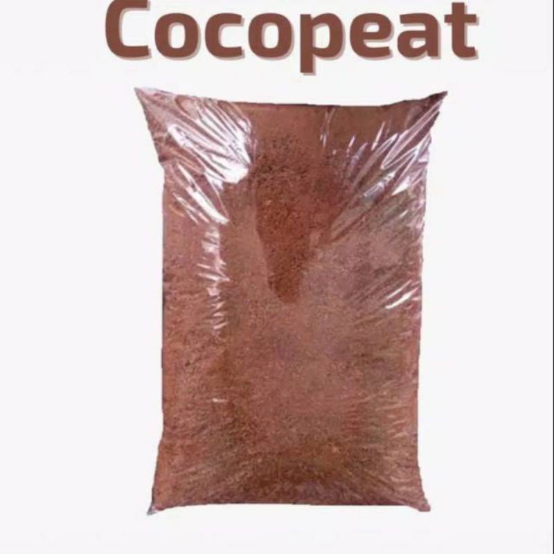 Cocopeat Kemasan 500 gram Media Tanam Aglaonema Anthurium Monstera Coco Peat Sabut Kelapa